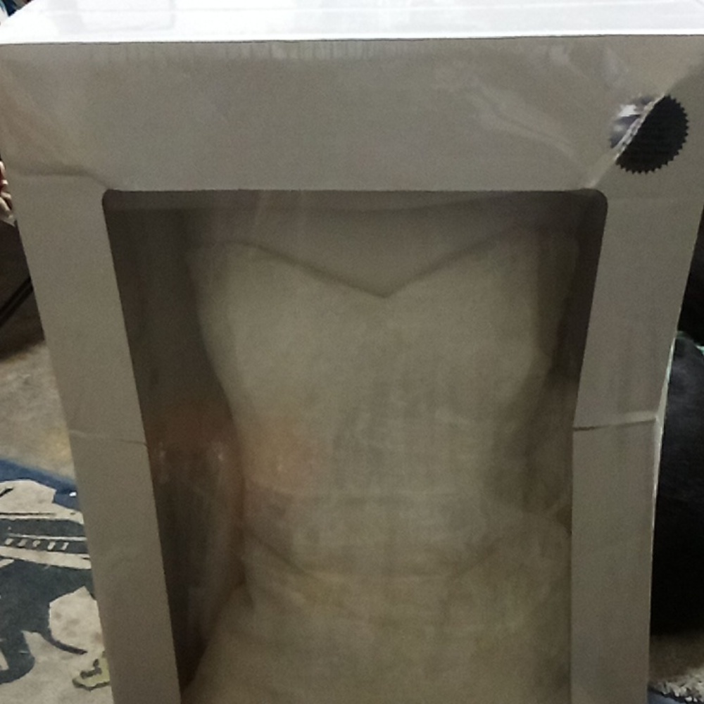 David's bridal wedding dress